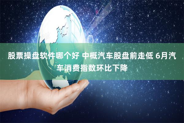 股票操盘软件哪个好 中概汽车股盘前走低 6月汽车消费指数环比下降