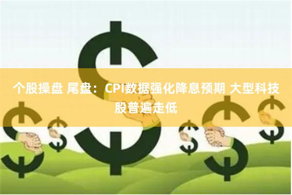 个股操盘 尾盘：CPI数据强化降息预期 大型科技股普遍走低