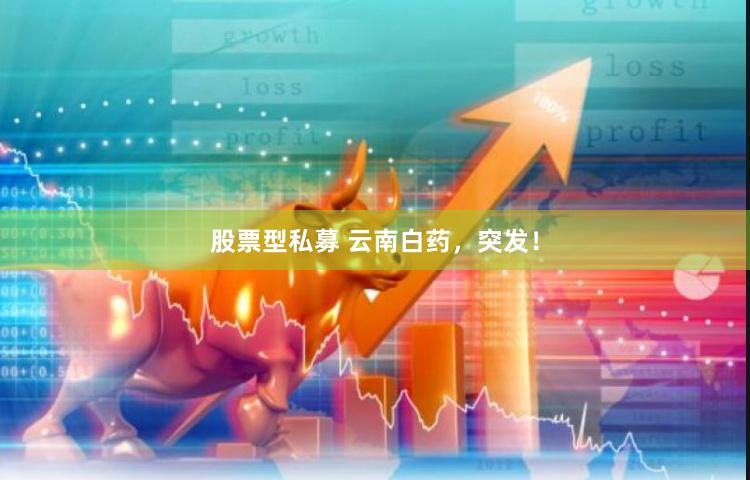 股票型私募 云南白药，突发！
