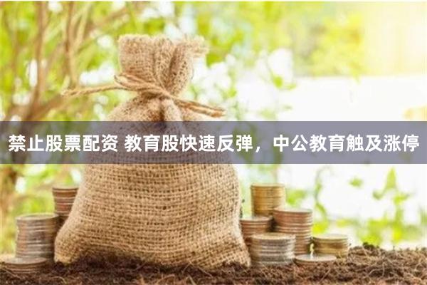 禁止股票配资 教育股快速反弹，中公教育触及涨停