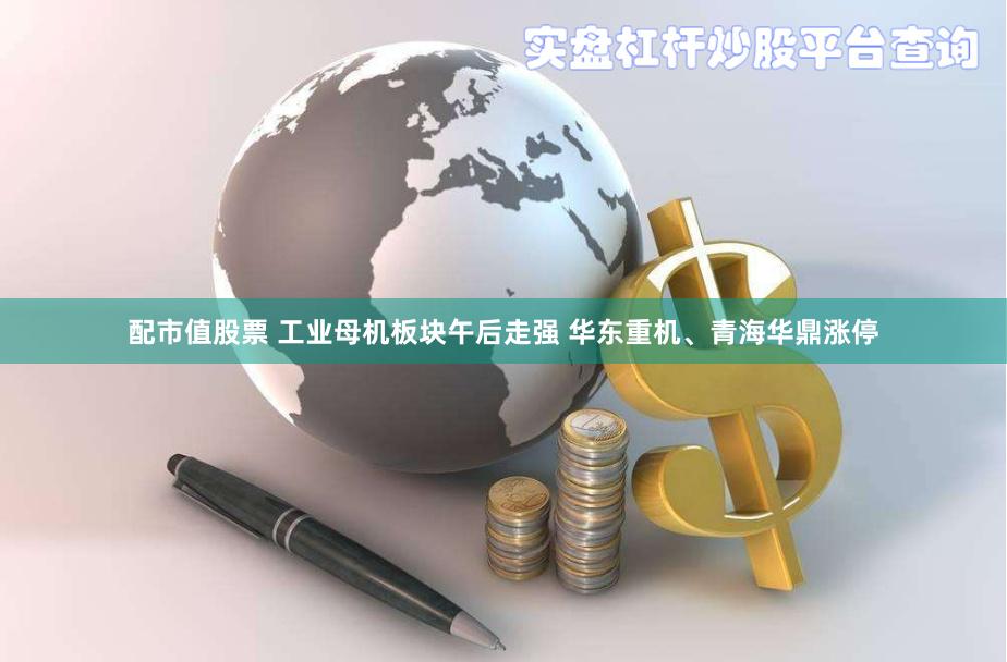 配市值股票 工业母机板块午后走强 华东重机、青海华鼎涨停