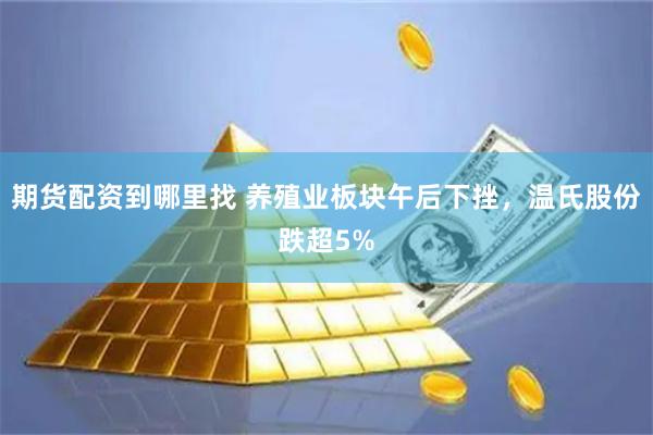 期货配资到哪里找 养殖业板块午后下挫，温氏股份跌超5%