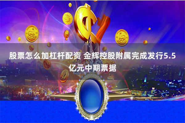 股票怎么加杠杆配资 金辉控股附属完成发行5.5亿元中期票据