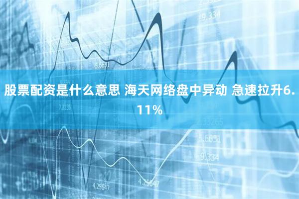 股票配资是什么意思 海天网络盘中异动 急速拉升6.11%