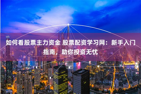 如何看股票主力资金 股票配资学习网：新手入门指南，助你投资无忧