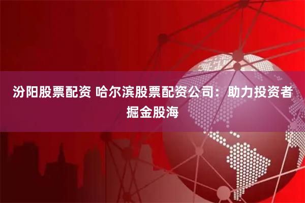 汾阳股票配资 哈尔滨股票配资公司：助力投资者掘金股海